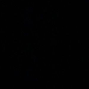 Meet your Posher, Jack